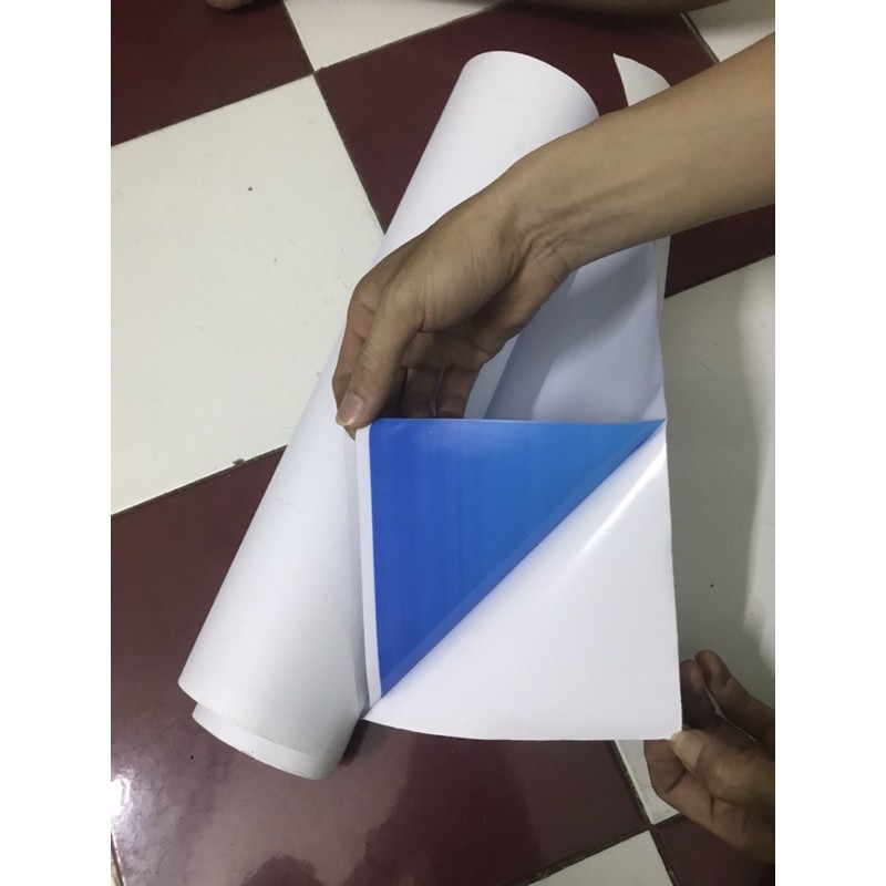 SALE HOT - Tranh dán bể cá OPEN SKY - Giá xưởng sale sập sàn - LEGEND AQUA