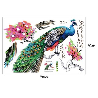Decal chim công SK9153