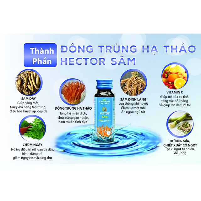 Combo 2 Nước Uống Đông Trùng Hạ Thảo Hector Sâm và Collagen 20 Chai Hỗ Trợ Sinh Lý Nam Nữ | Thế Giới Skin Care