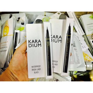 BÚT DẠ KẺ MẮT NƯỚC KARADIUM.