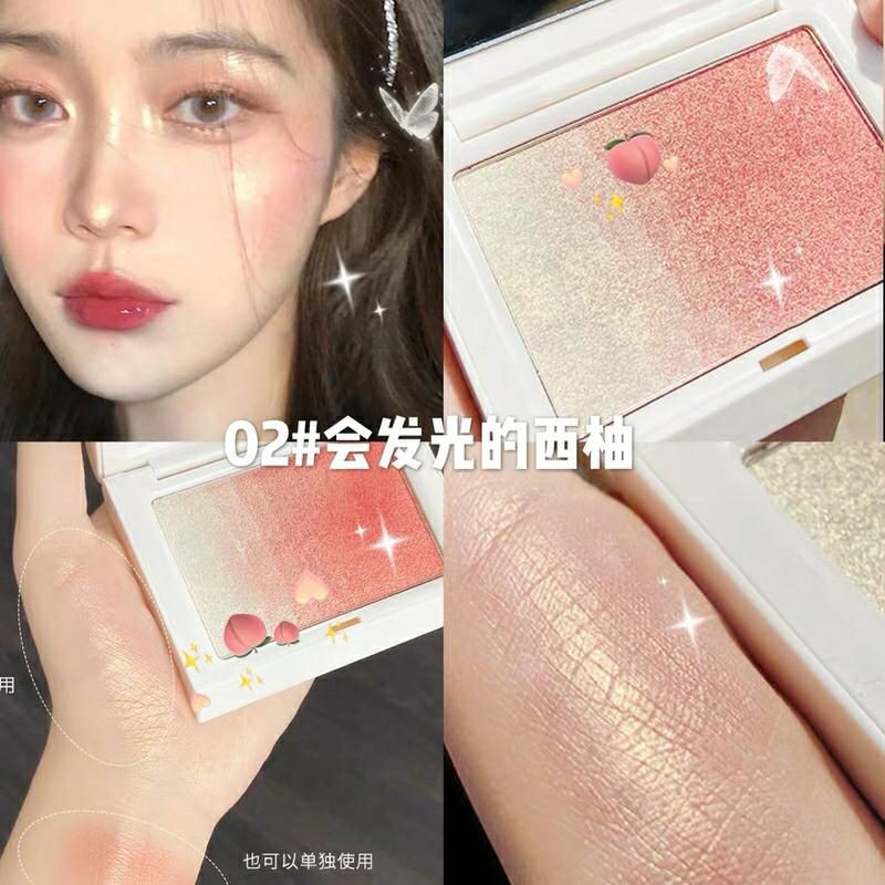 (Hàng Mới Về) Cọ Trang Điểm Tạo Khối / Bắt Sáng Cao Cấp | BigBuy360 - bigbuy360.vn