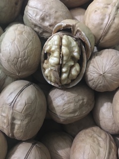 Óc chó -1kg