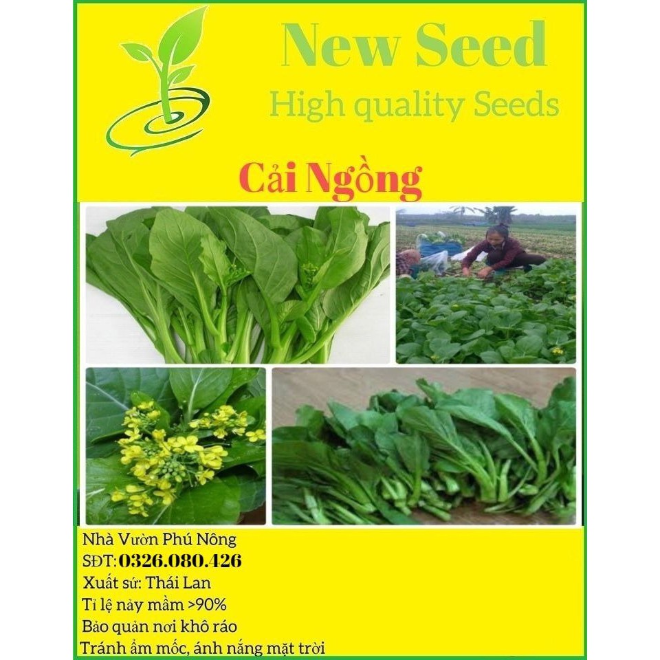 Hạt giống rau cải ngồng F1 [ gói 200 gram , 500 gram, 1kg ]