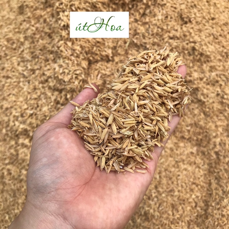 Vỏ trấu, vỏ thóc - Giá thể trồng cây tơi xốp 100g