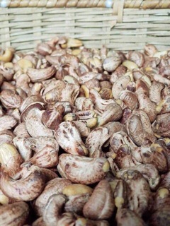 Điều Bình Phước