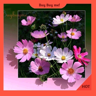 Bộ tranh đính đá 5D tự làm họa tiết hoa màu hồng