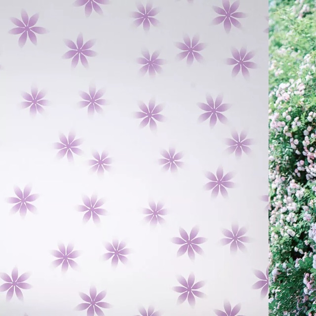 5 m decal dán kính keo sẵn bóc dán khổ 60 cm