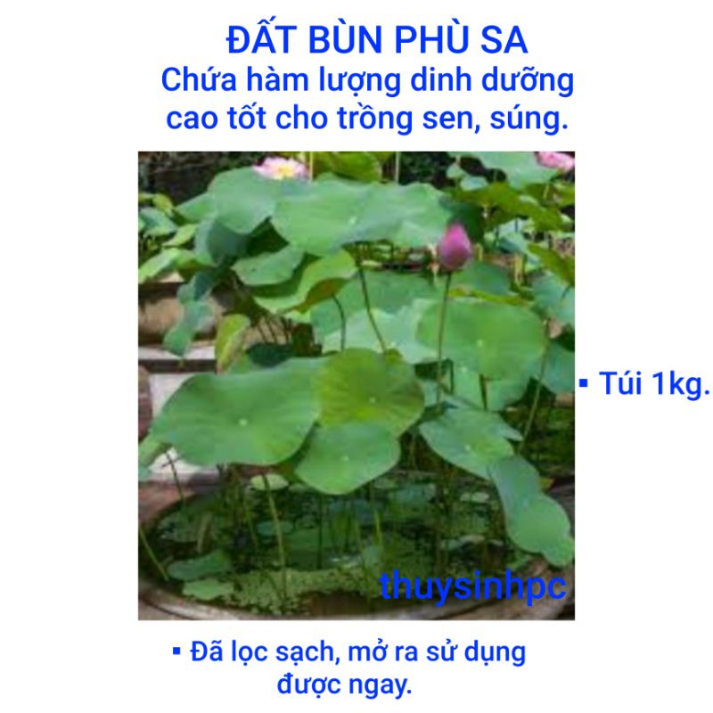 1kg đất bùn sạch trồng sen mini, sen nhật và các loại sen cảnh khác