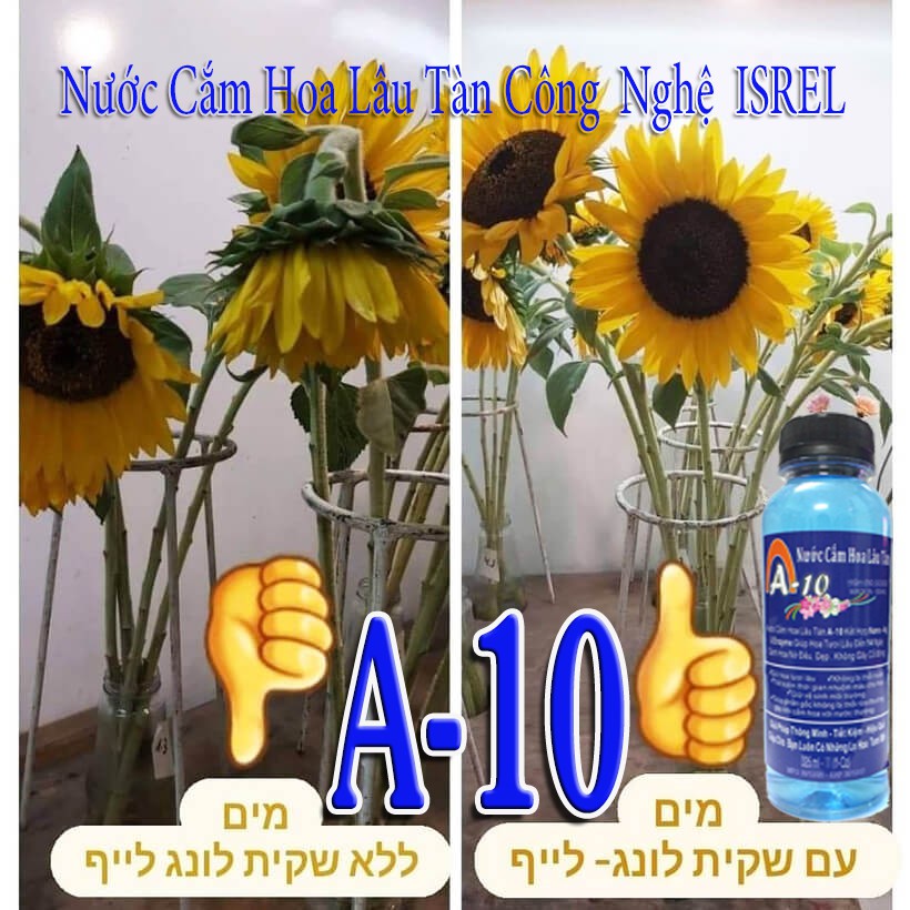 Nước Cắm Hoa Lâu Tàn A-10 - Tiết Kiệm Hiệu Quả Cao - HIGH-END GOODS - MADE IN - ISRAEL  ** 325ml