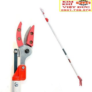 KÉO HÁI QUẢ - KÉO CẮT CÀNH Giữ  Quả Trên Cao 3M