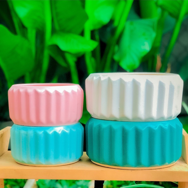 CHẬU ANG MÚI TRỒNG SEN ĐÁ MIX XƯƠNG RỒNG