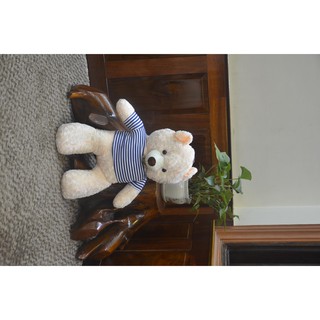 Gấu bông teddy Cao Cấp