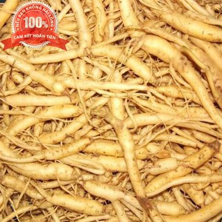 500g đẳng sâm khô - sâm núi