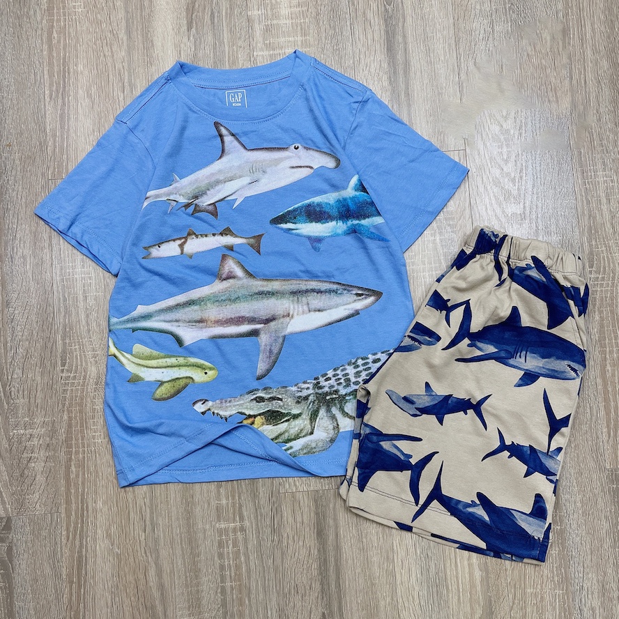 Bộ Bé Trai Hàng VNXK Set Đồ Bộ Quần Áo Thun Cotton Xuất Dư Size Đại 24-58 Kg Mềm Mịn Mát Homie Kids