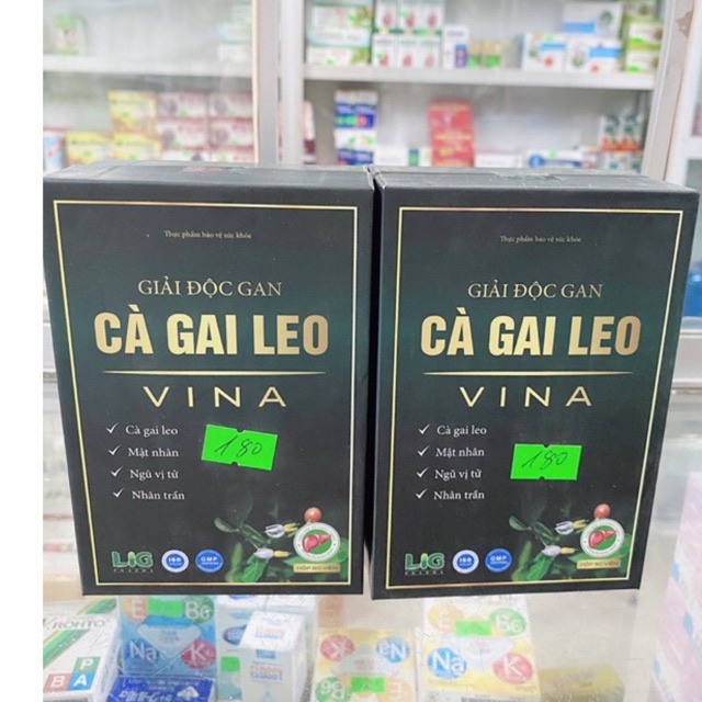 Cà gai leo vina - giải độc gan