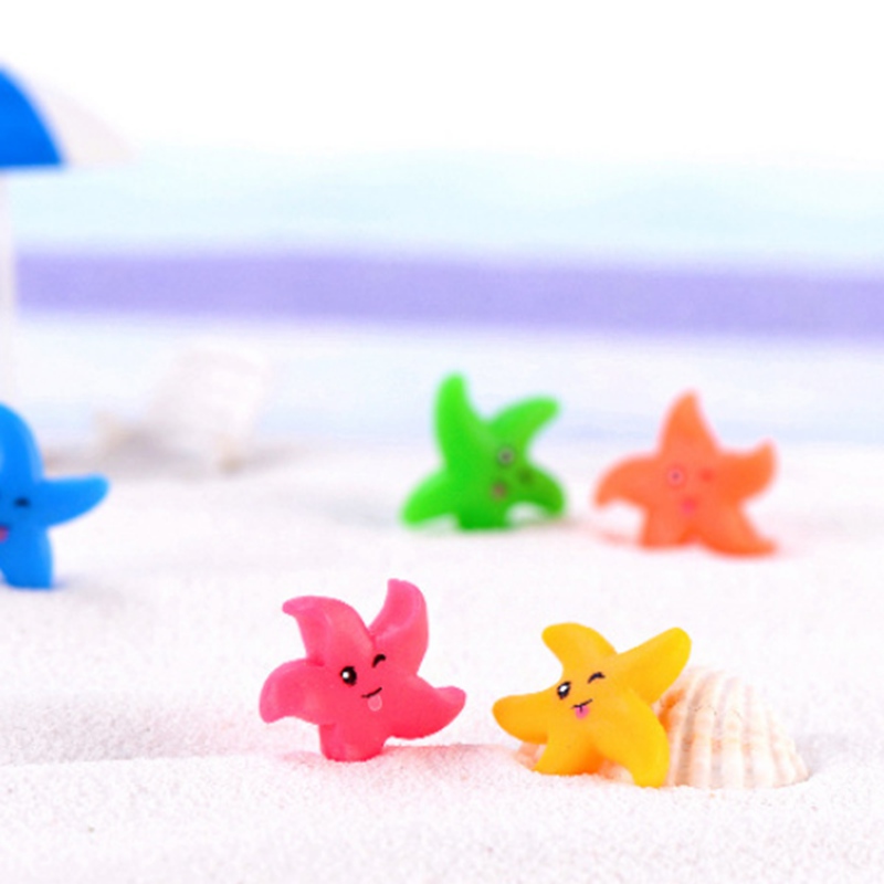 Set 5 Mô Hình Sao Biển Mini Trang Trí Sân Vườn