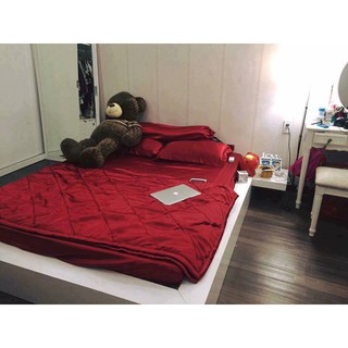 [SIÊU SALE] [HỔ TRỢ PVC] Xả kho Bộ drap giường có chăn phi lụa cao cấp sang chảnh (chọn màu)