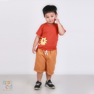 [ Áo thun bé trai- Made in Vietnam dành cho bé trai từ 2-12 tuổi]
