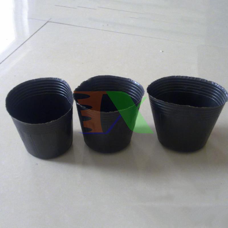 COMBO 10.000 (một vạn) túi bầu ươm cây BHS kích thước 8x8cm