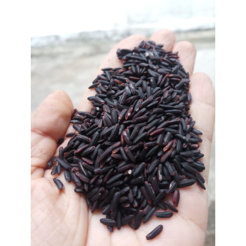 Sỉ gạo lứt đen dẻo