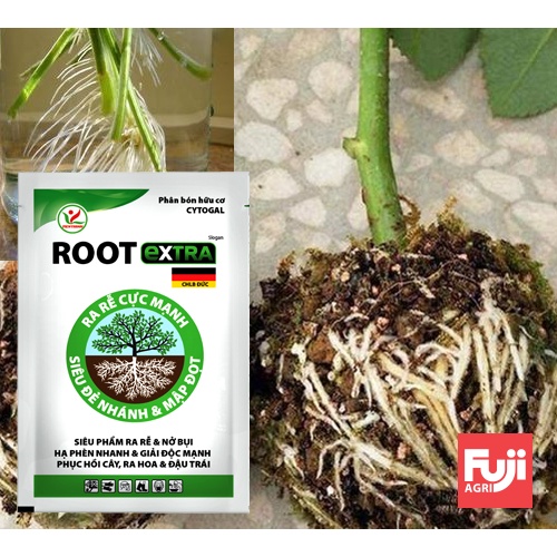 Phân kích rễ ROOT EXTRA ĐỨC 25ml