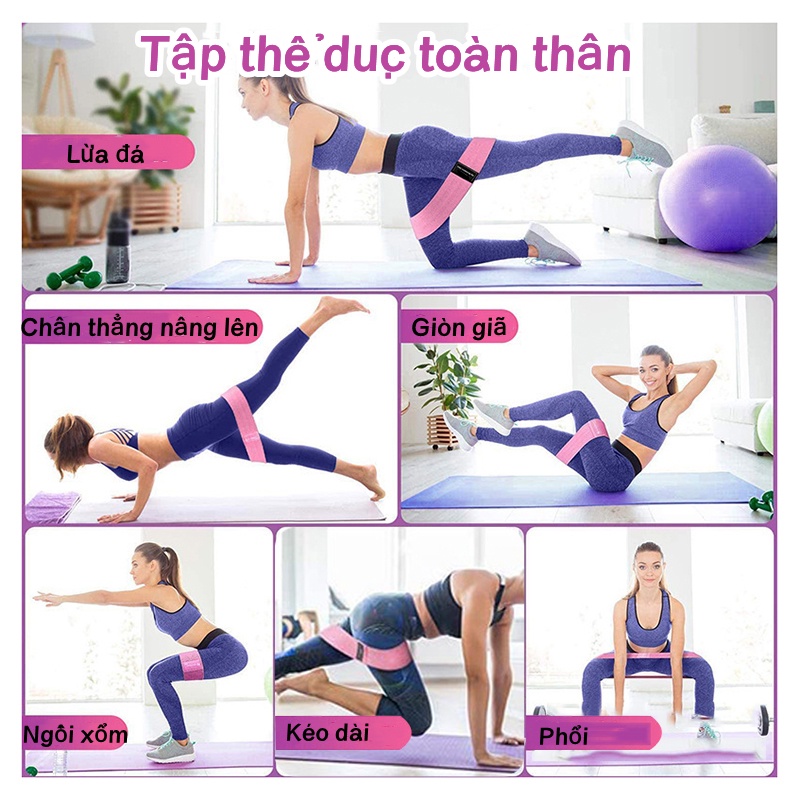 Dây Kháng Lực Mini, Dây cao su kháng lực Aolikes tập chân mông, Dây Đàn Hồi Tập Gym, Tập Mông, Band Có Khoá Điều Chỉnh