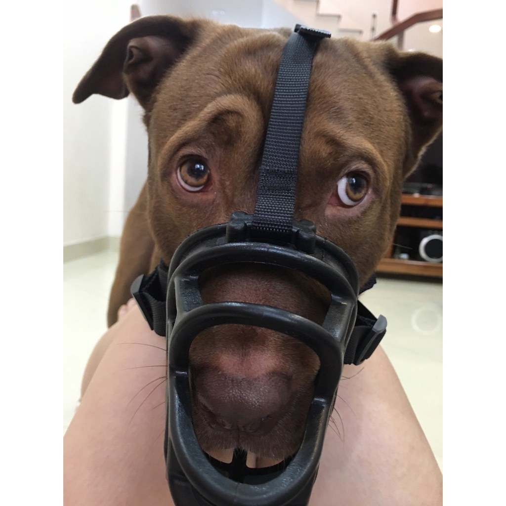Rọ mõm chó silicon mềm mại GruU Dog