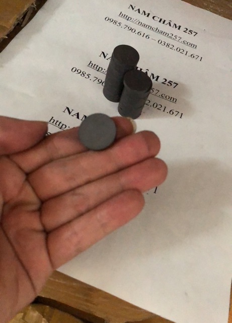 Nam châm Ferrite 20x5mm, nam châm đen tròn, nam châm đen trụ tròn