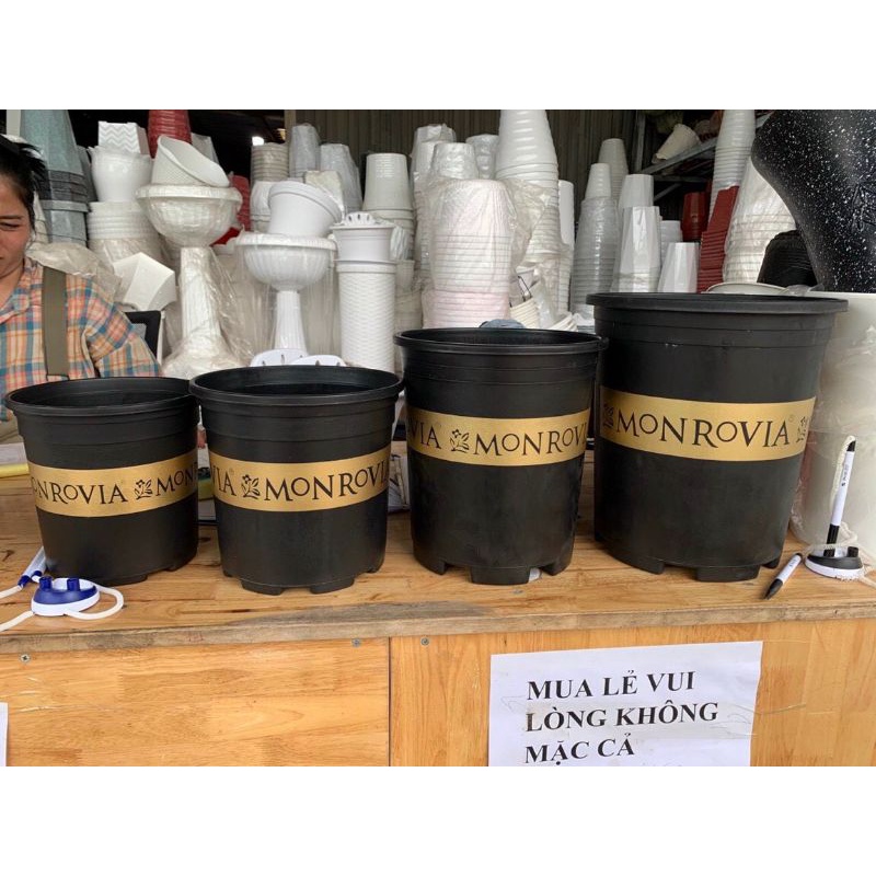 Chậu nhựa MON- GAL trồng hoa, cây cảnh  đủ size