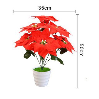 Cây giả, chậu hoa trạng nguyên 5 bông cỡ lớn trang trí tết, decor cửa hàng, văn phòng làm việc tươi sáng đẹp mắt