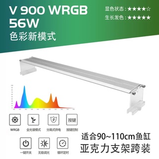 ĐÈN THUỶ SINH Week Raptor V