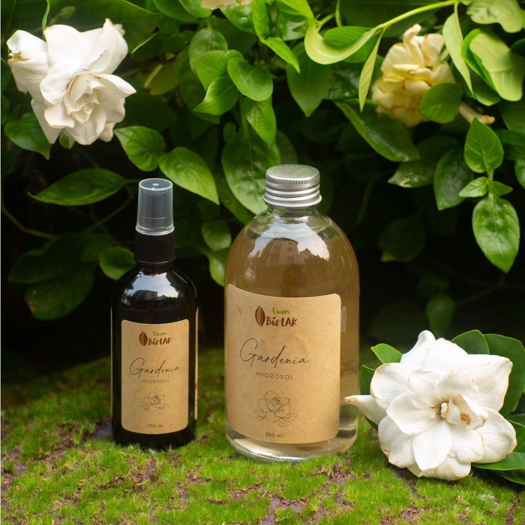 Hydrosol Gardenia – Nước cất sài đất nếp, bạch thiên hương | BigBuy360 - bigbuy360.vn