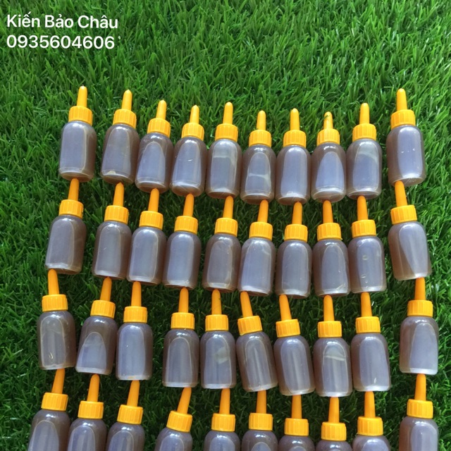 ( không nhãn ) Combo 200 lọ không nhãn thuốc diệt kiến gián sinh học Bảo Châu