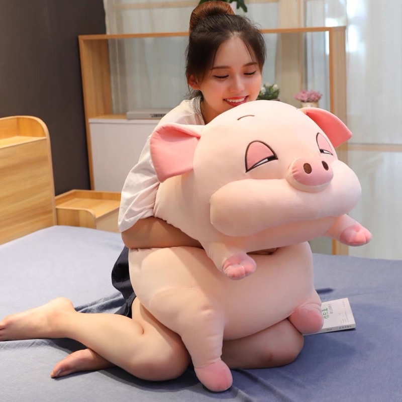 Gối ôm hình thú con heo béo mắt hí cute thú nhồi bông con lợn ngủ béo ú kích thước 35cm 55cm 80cm