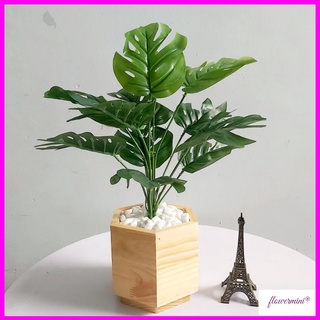 Chậu cây lá rùa giả 45cm để bàn trang trí nhà cửa xanh mát kèm chậu gỗ lục giác độc đáo Flowermini CGR-01