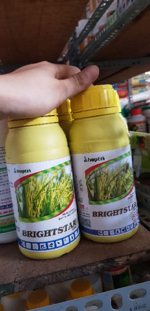 Thuôc điều hòa sinh trưởng BRIGHTSTAR 25Sc 500ml