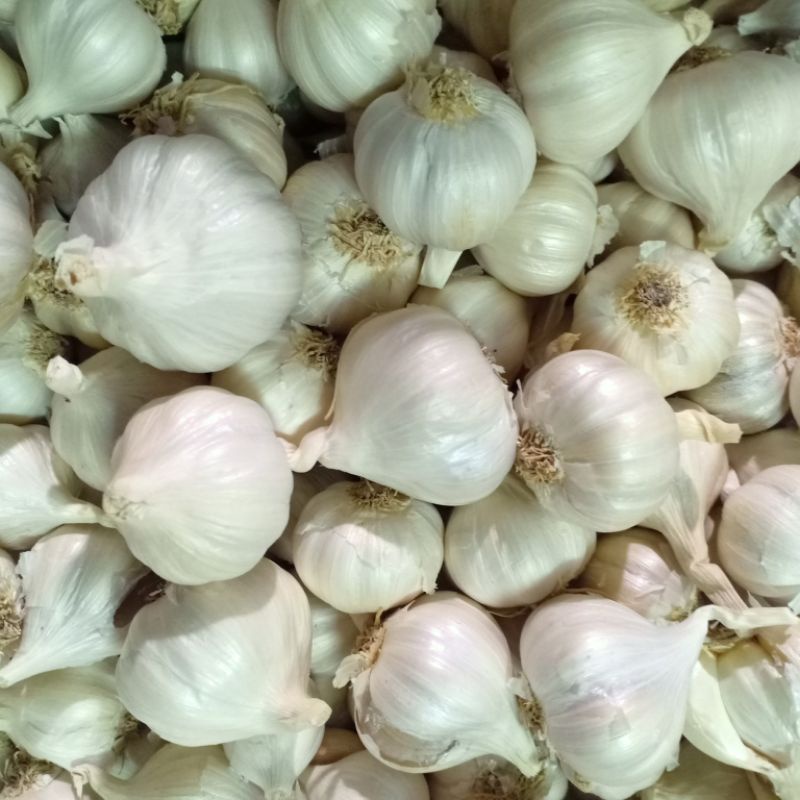 Tỏi Phan rang chất lượng 1kg
