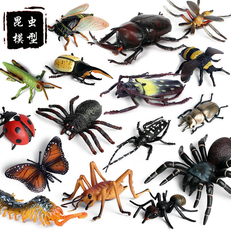 Đồ Chơi Mô Hình Côn Trùng Cho Bé