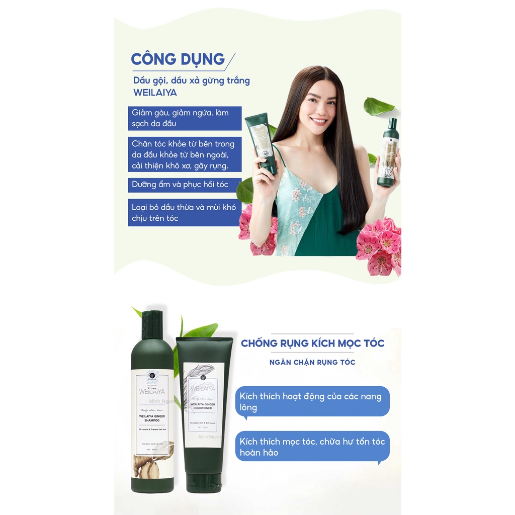 Combo dầu gội, xả gừng trắng WEILAIYA GINGER chống rụng kích mọc tóc 400ml + 250ml tặng set mini 20ml