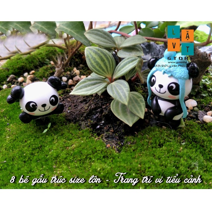 Mô Hình Panda Gấu Trúc Micro Dễ Thương, Cute, Dùng Để Trang Trí Vi Tiểu Cảnh - Đơn Giản Chân Thật Giá Rẻ Bất Ngờ