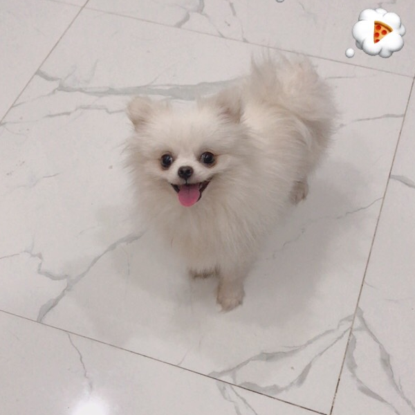 Em Tui là Bạch Dương