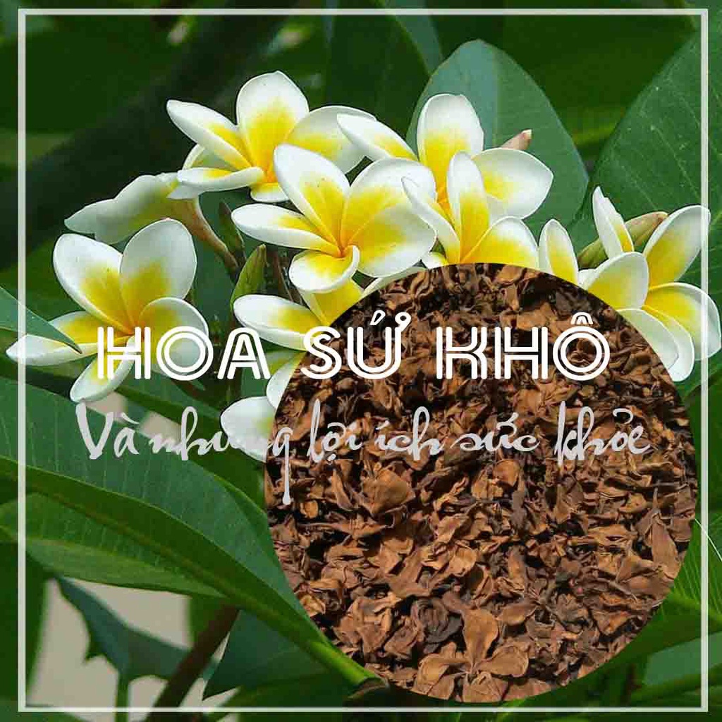 Thảo dược TRÀ HOA SỨ TRẮNG khô đóng gói 1kg - Hàng Công ty loại 1