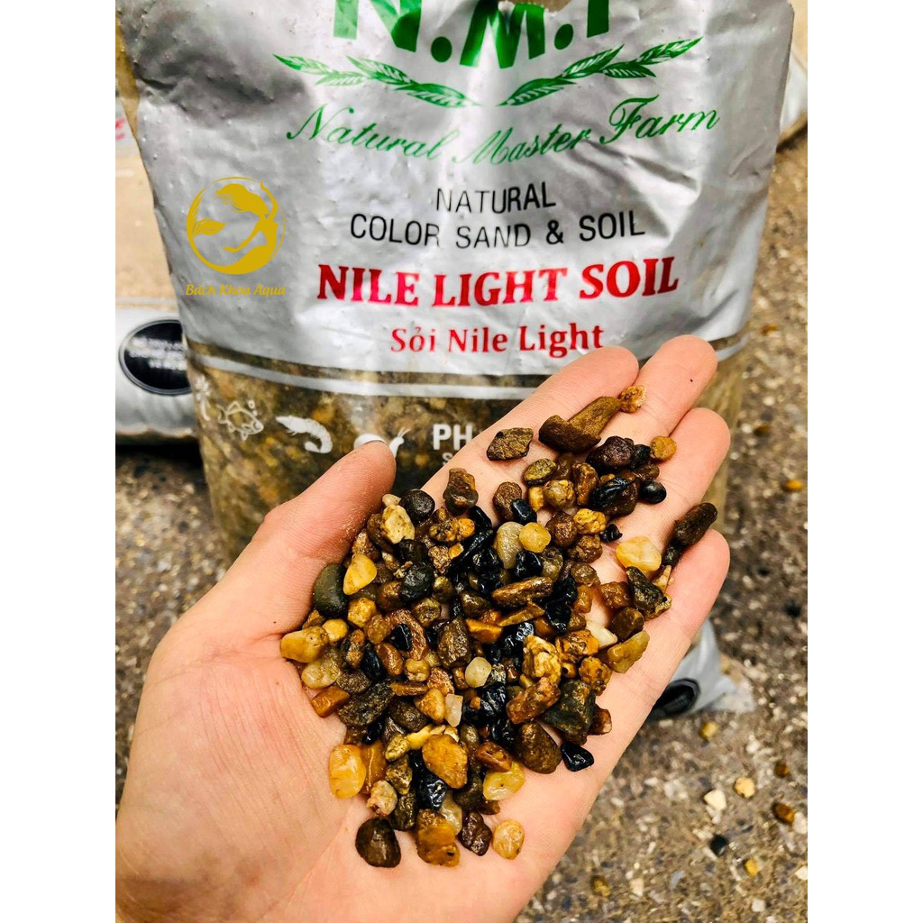 Sỏi Nile Light