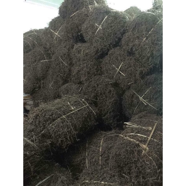 CÂY THẠCH ĐEN CAO BẰNG 500g