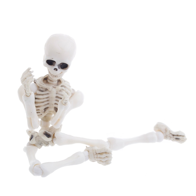Mô Hình Bộ Xương Người Mini Toàn Thân Có Thể Di Chuyển Dùng Hóa Trang Halloween