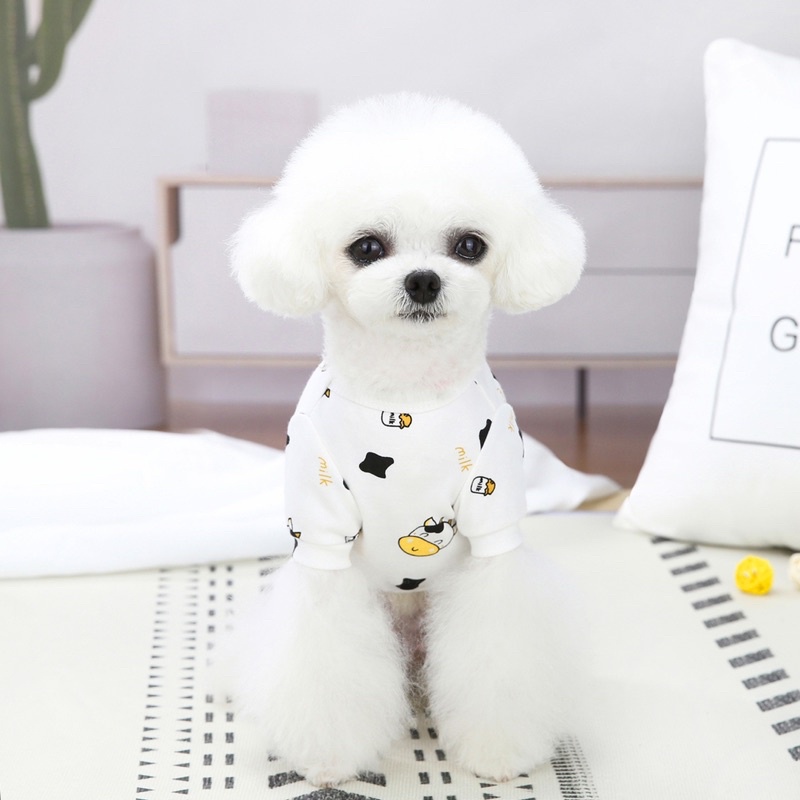 Bộ body 4 chân xinh lung linh cho cún miu 🥺