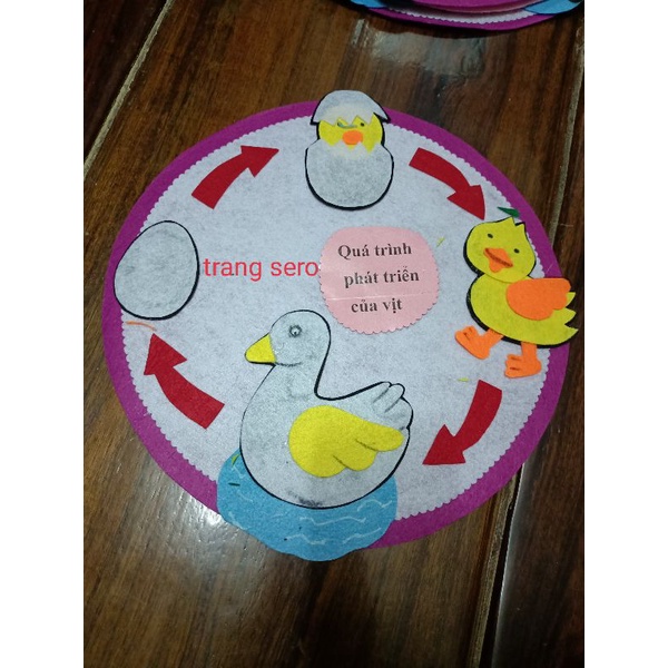 Vòng đời của các con vật shop đi đơn từ 2 tranh