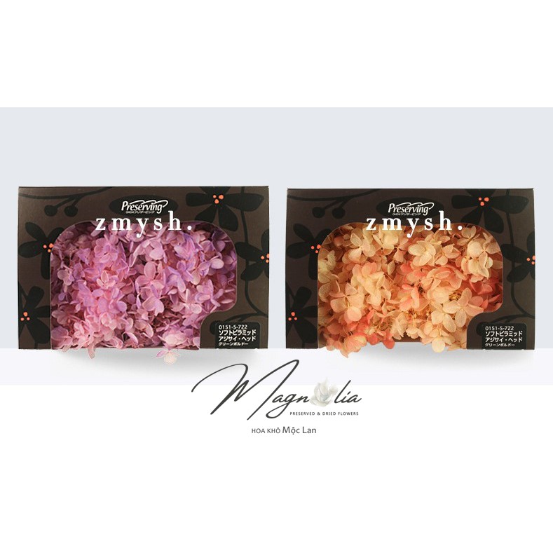 Hoa khô 🍁FREESHIP🍁 Hoa Cẩm Tú Cầu khô nhiều màu đẹp mê mẩn