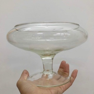 Chậu thủy tinh ly - 3 kích thước
