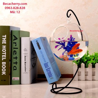 Bể Cá Mini Để Bàn C33 12 Cỡ To ( Tặng kèm combo phụ kiện trang trí )